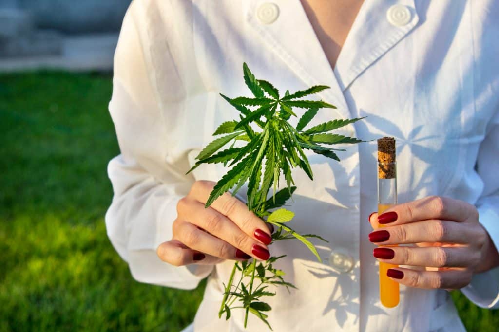 le CBD, une drogue ?