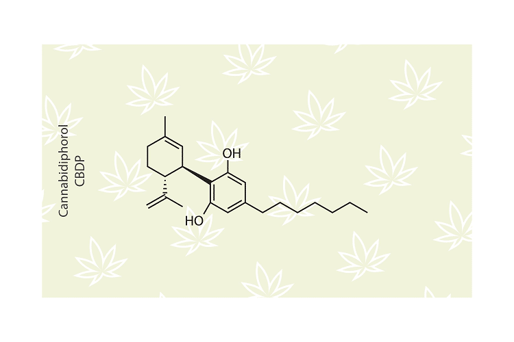 CBDP (cannabidifenol) is een zeldzame cannabinoïde die onlangs in cannabis is ontdekt. Leer meer over de productie, mogelijke effecten, bijwerkingen en wetgeving. 