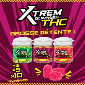 Gummies THC Xtrem 5mg 10 Stéck: Mojito, Waassermeloun oder Himbeer