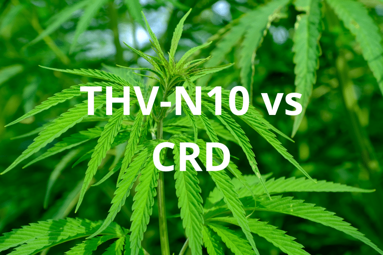 Entdeckt THV-N10, en opkomende Cannabinoid, a wéi de Lord Of CBD&#39;s CRD eng legal Alternativ a Frankräich an Europa bitt. Genéisst eng eenzegaarteg Erfahrung mat Produkter reich an Cannabinoiden, konform mat aktuellen Gesetzer.